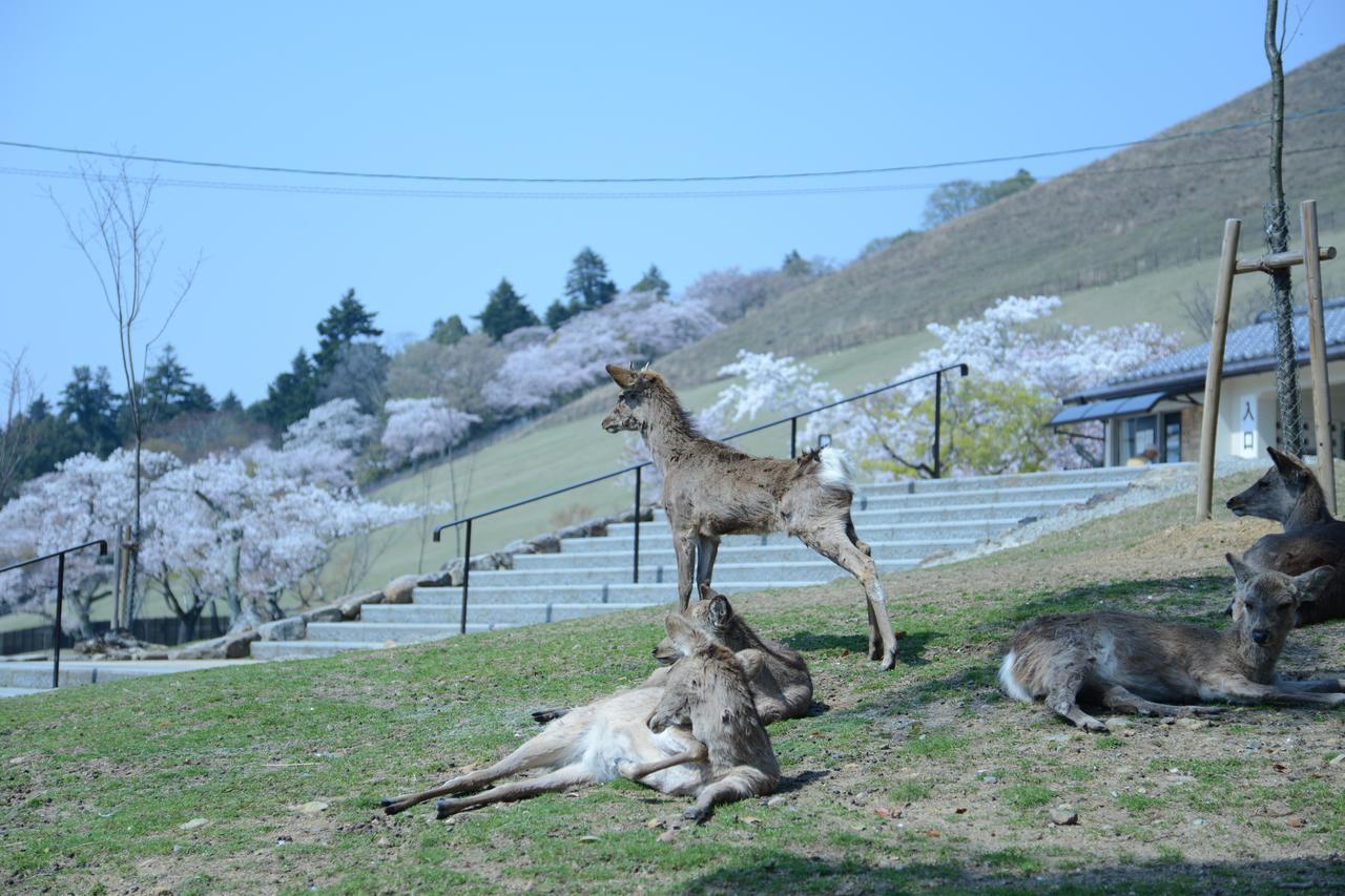 Mountain Home Lodge In Deer Park Nara Exterior foto